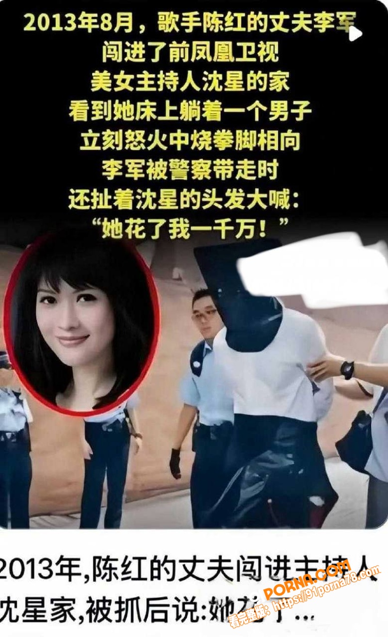 内娱女歌星 陈红 与前夫...（7）